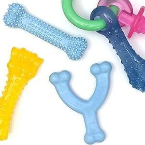 Nylabone New Puppy Chew Toy Bundle, Toys for Teething Puppies, Chicken & Bacon Flavors, Blue, X-Small - Up to 15 lbs, 4 Pack