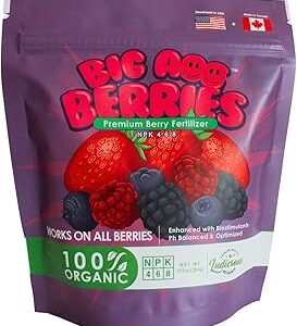 Big A Berries Fertilizer Nutrients – Plant Nutrients for Growth – Organic Nutrients for Indoor and Outdoor Berries – Works on Raspberry, Strawberry, Blueberry - 13.5oz