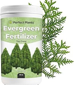 Evergreen Fertilizer by Perfect Plants | Top Dress Slow Release granular Tree and Shrub Food | Great for Arborvitae, Boxwood Shrubs, or Juniper (32oz)